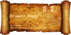 Brumecz Regő névjegykártya